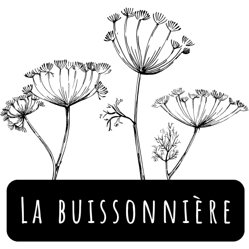 atelier - écoprint - teinture végétale - Ardèche - art-thérapie - Aubenas